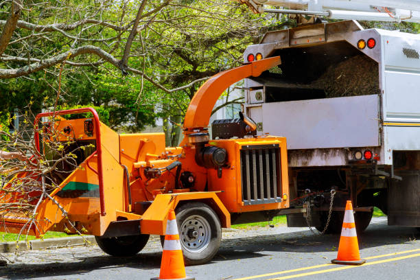 Best Lawn Grading and Leveling  in Norwood, PA